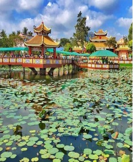 Tour Đồng Tháp - An Giang - Cần Thơ - Ca Mau